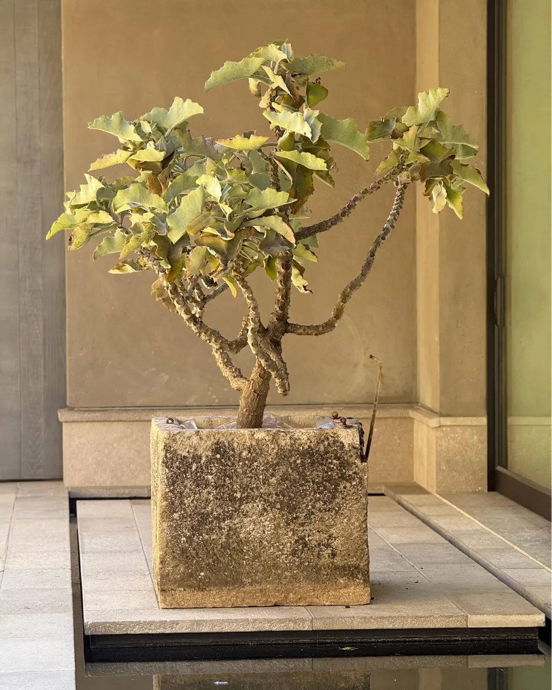 Troughs & Wells category